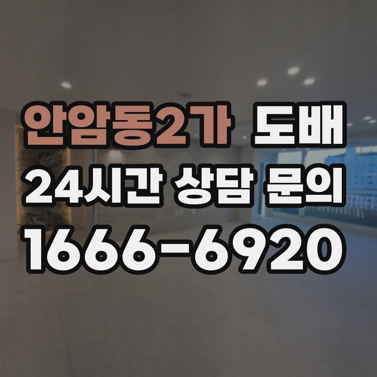 안암동2가 도배