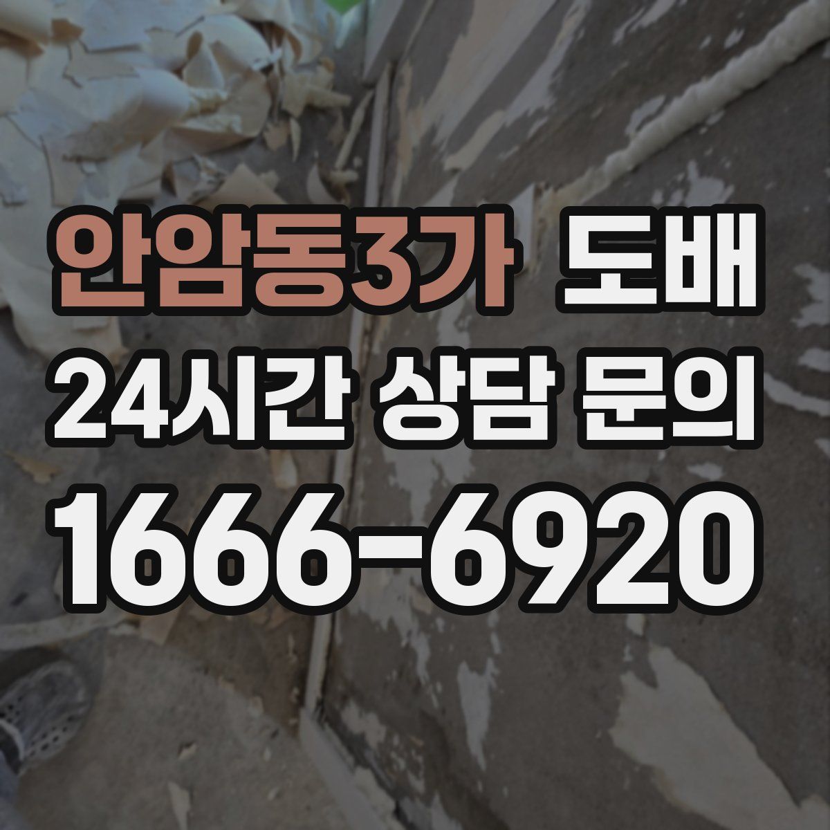 안암동3가 도배