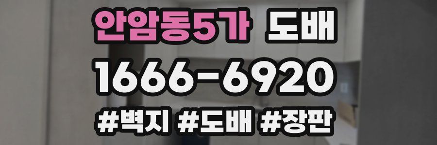 안암동5가 도배
