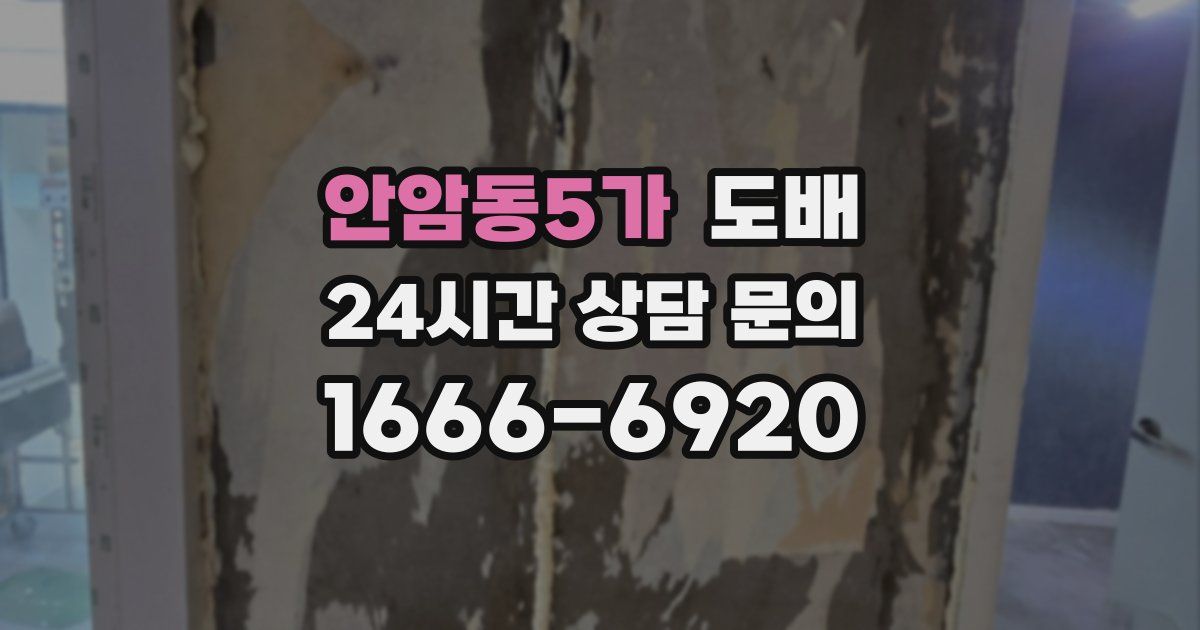 안암동5가 도배