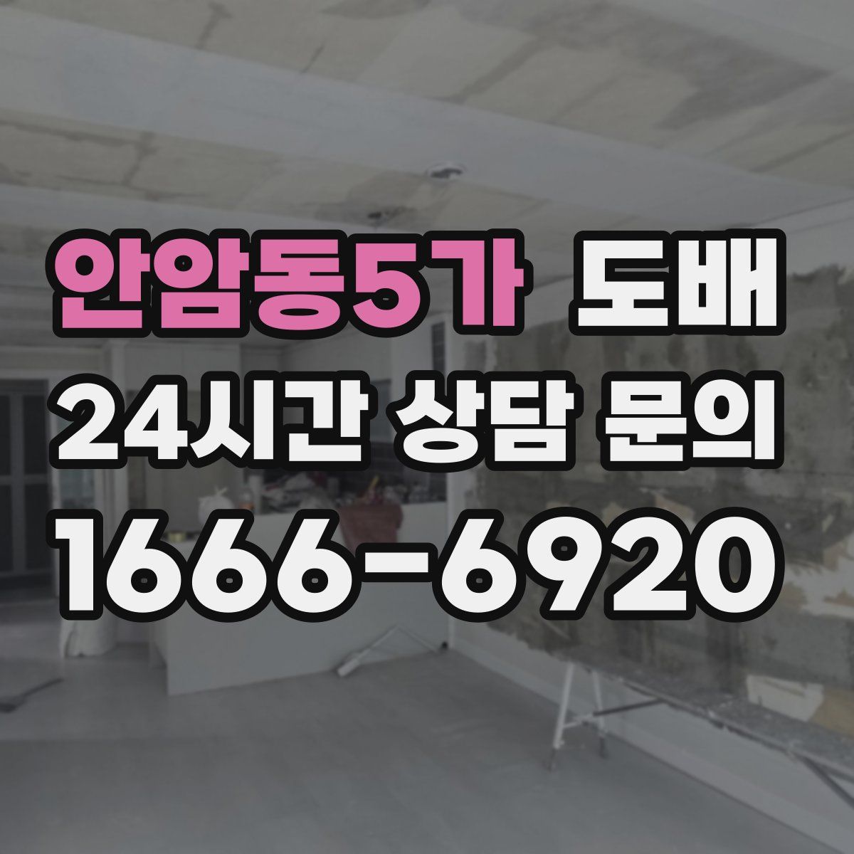 안암동5가 도배