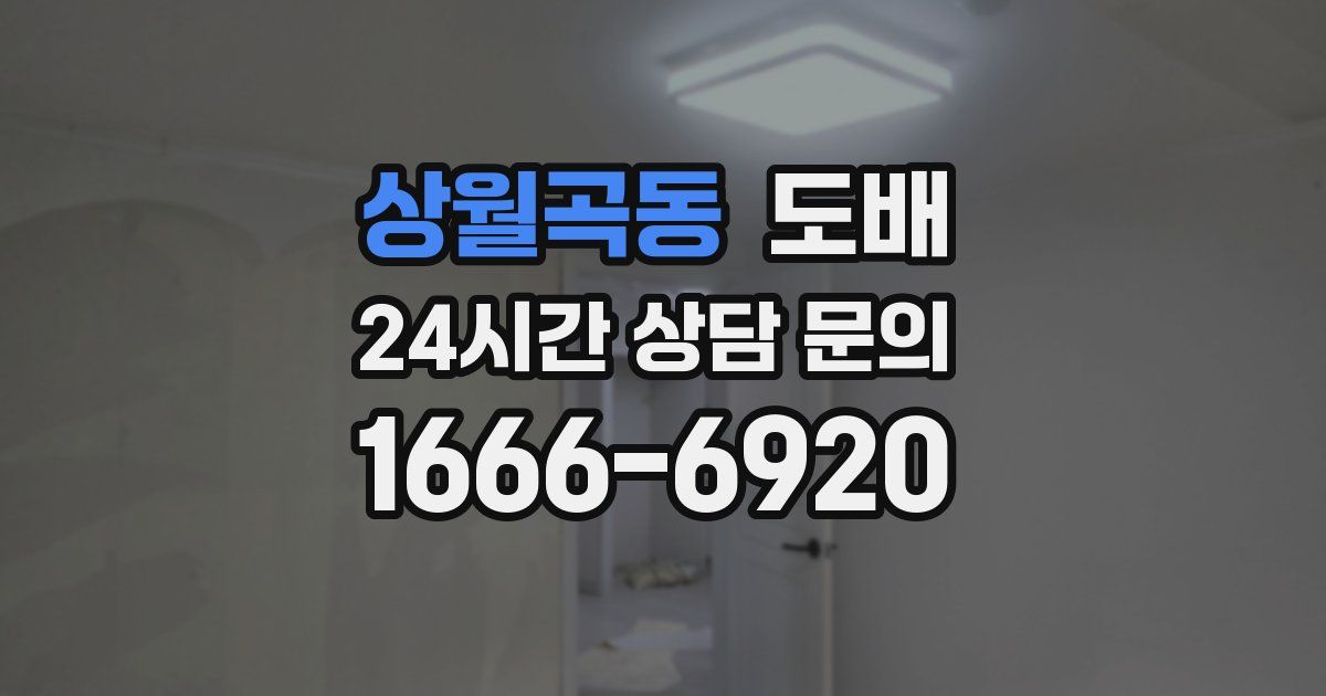 상월곡동 도배