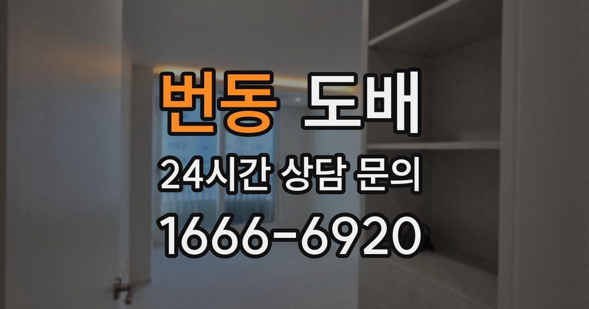 번동 도배
