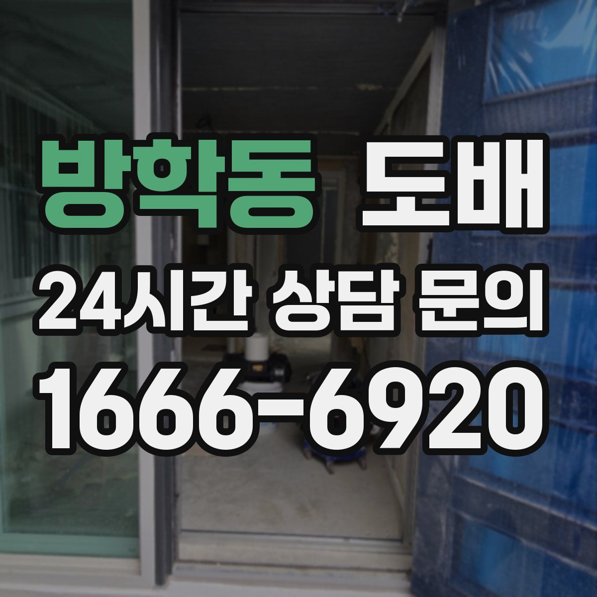 방학동 도배