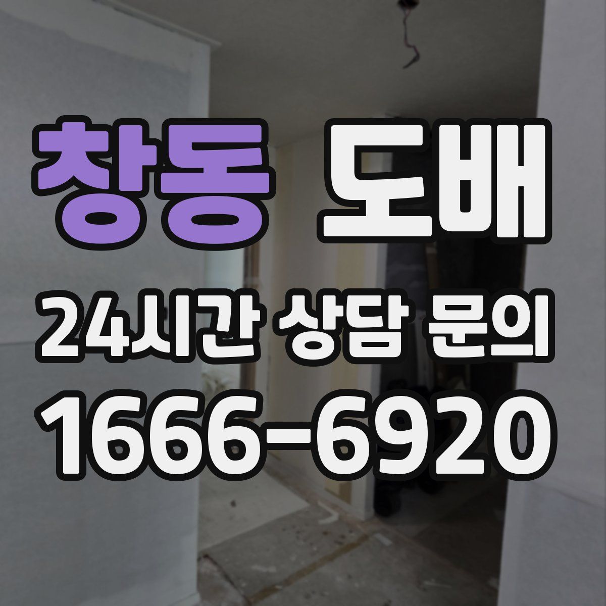 창동 도배