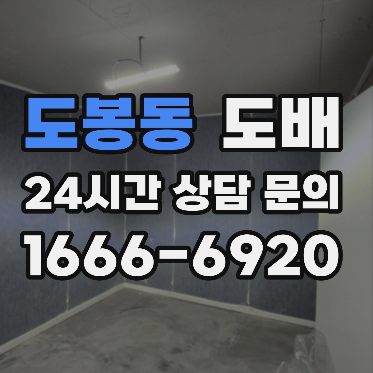 도봉동 도배