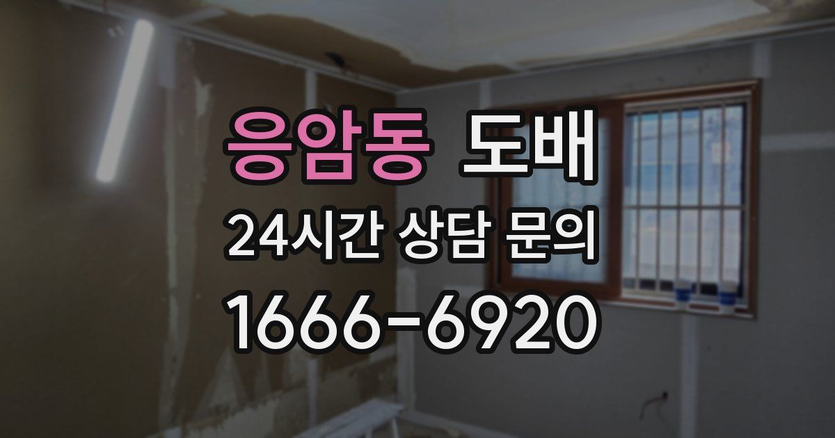 응암동 도배