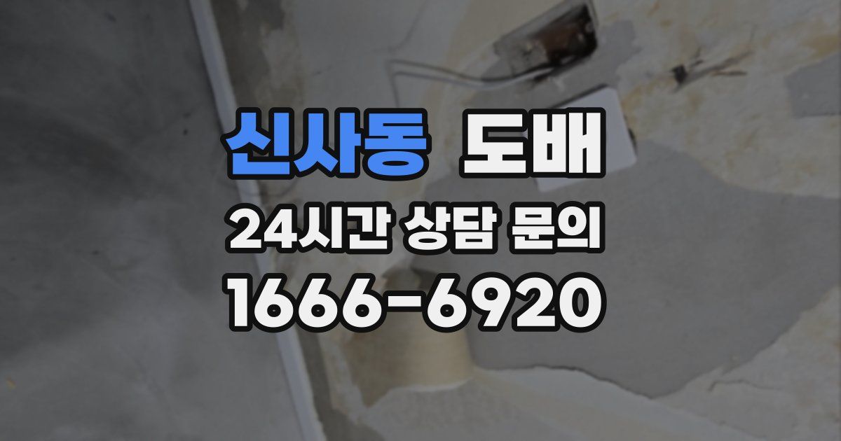 신사동 도배