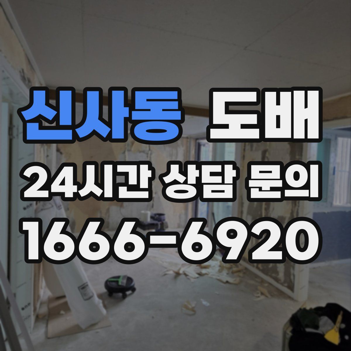 신사동 도배