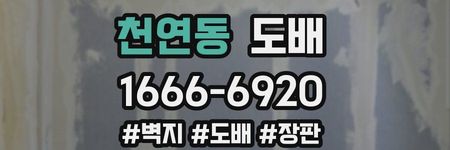 천연동 도배