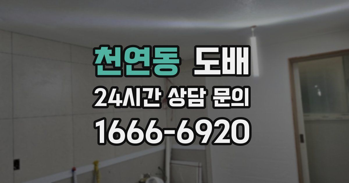 천연동 도배