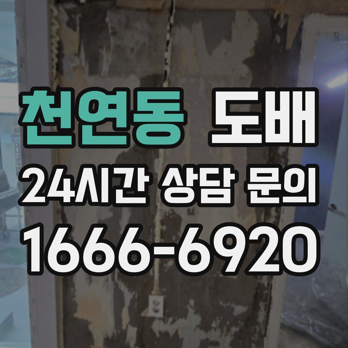 천연동 도배