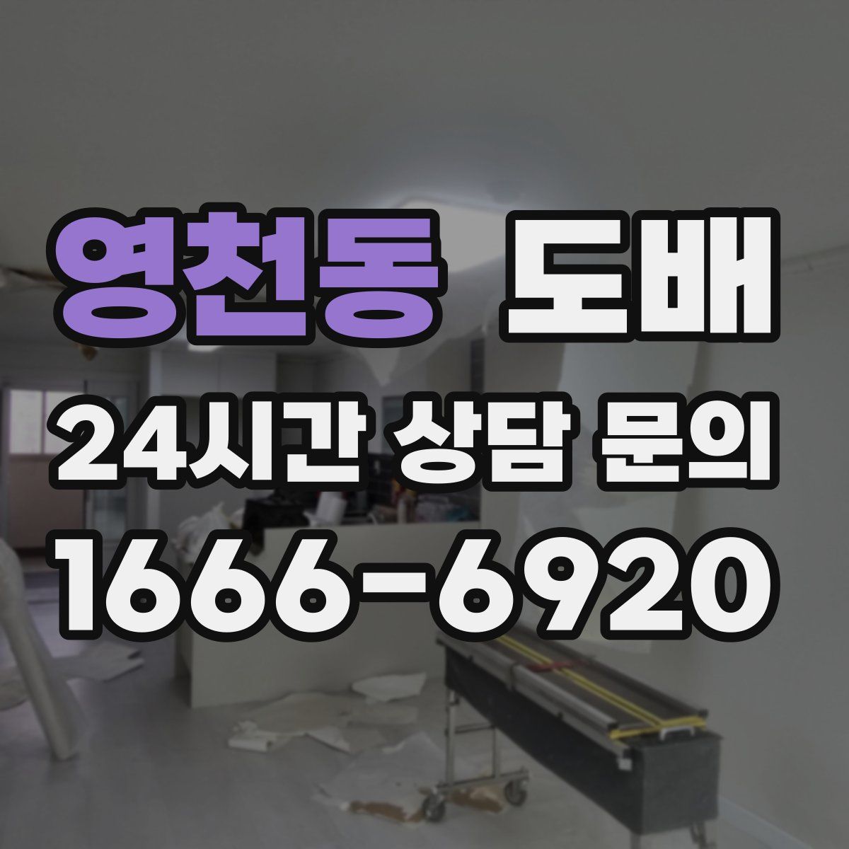영천동 도배