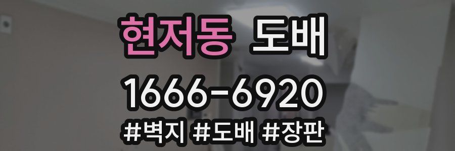 현저동 도배
