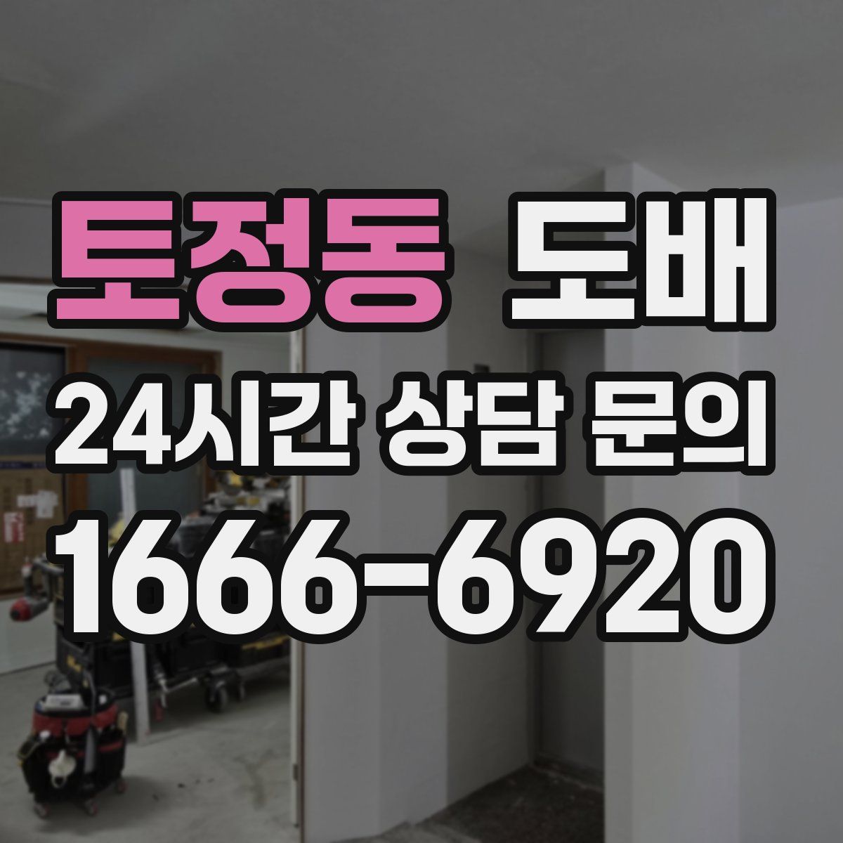 토정동 도배