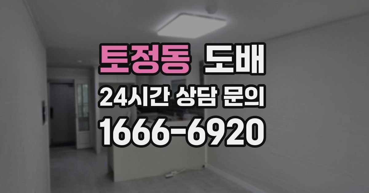 토정동 도배