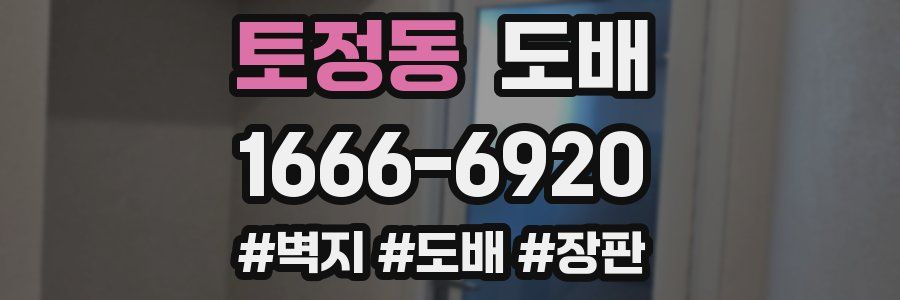 토정동 도배