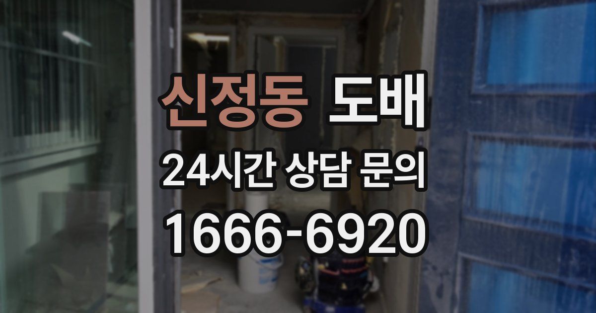 신정동 도배