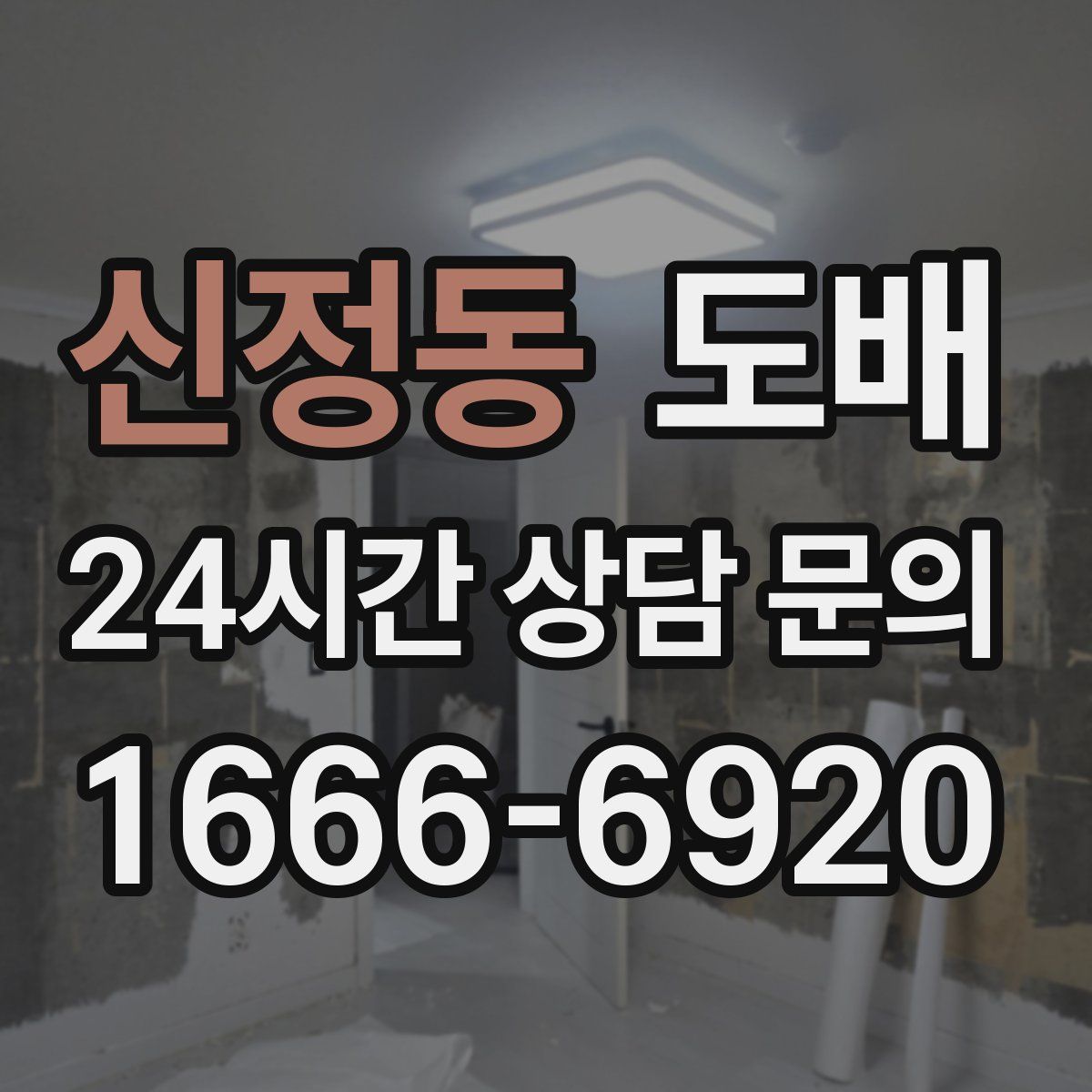신정동 도배