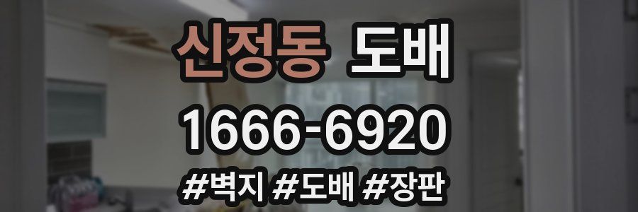 신정동 도배