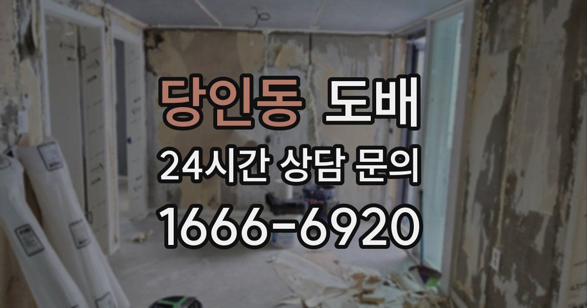 당인동 도배