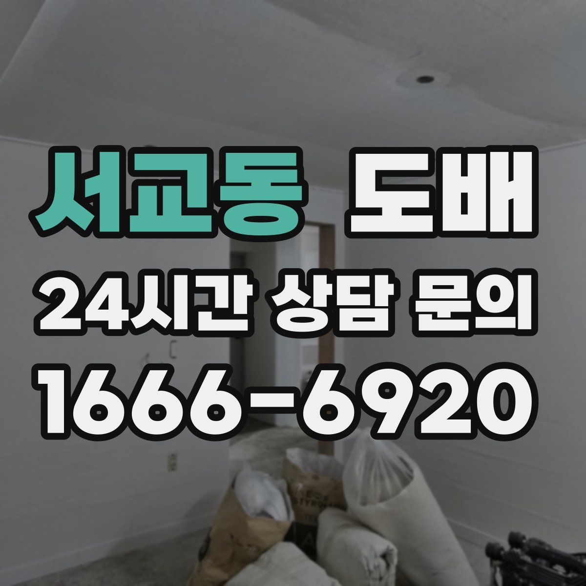 서교동 도배