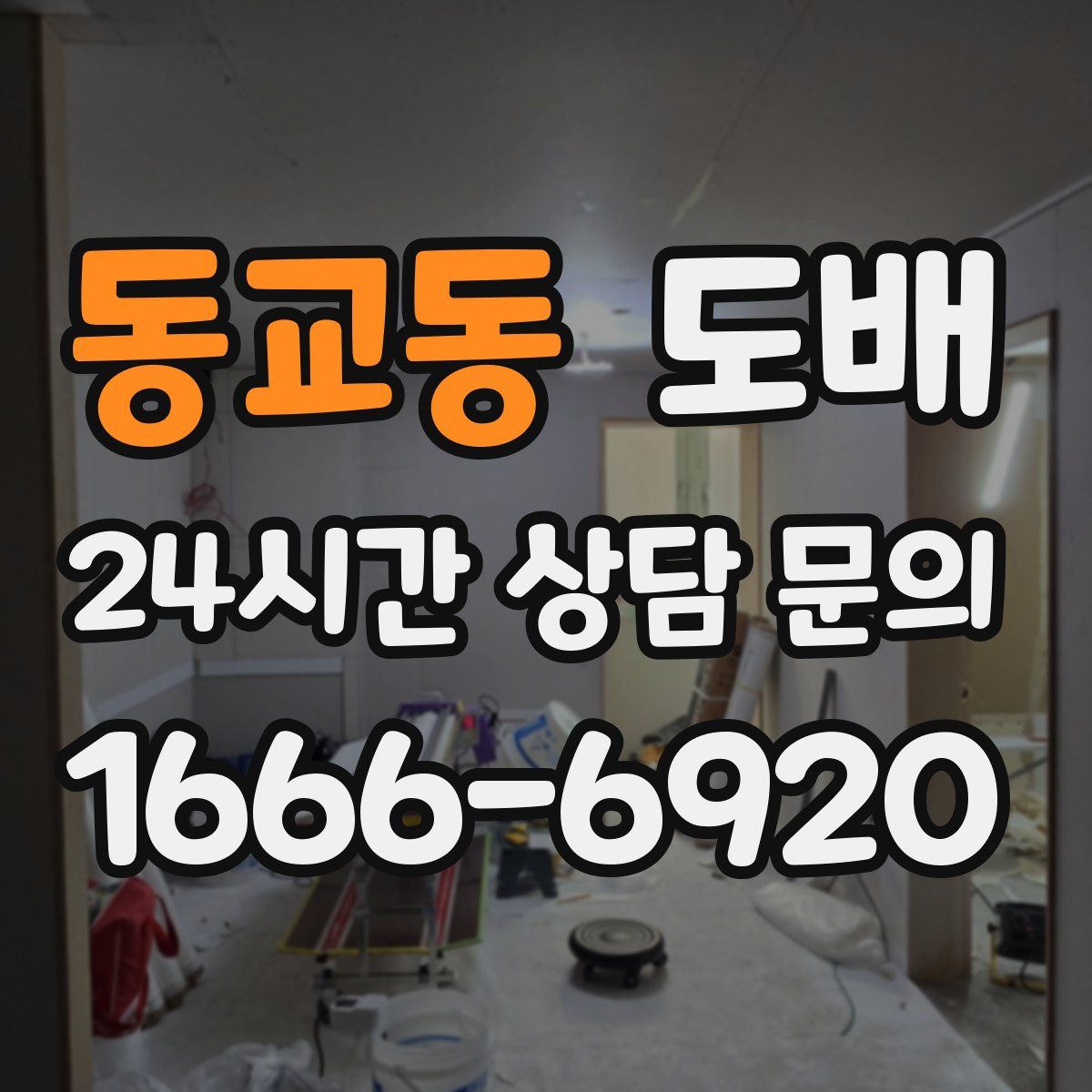동교동 도배
