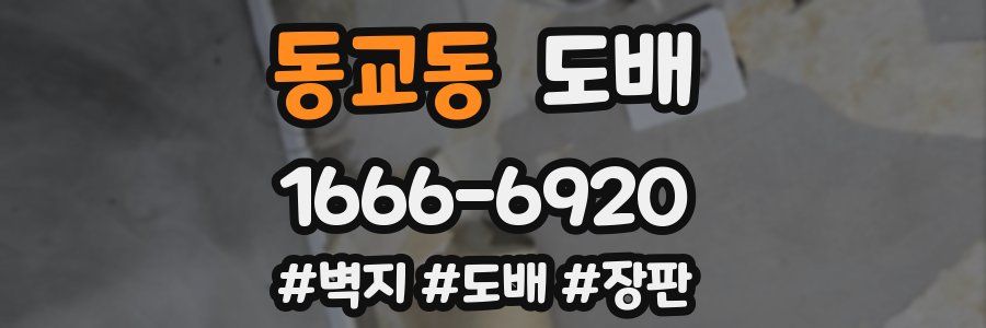 동교동 도배