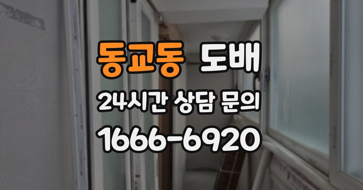 동교동 도배