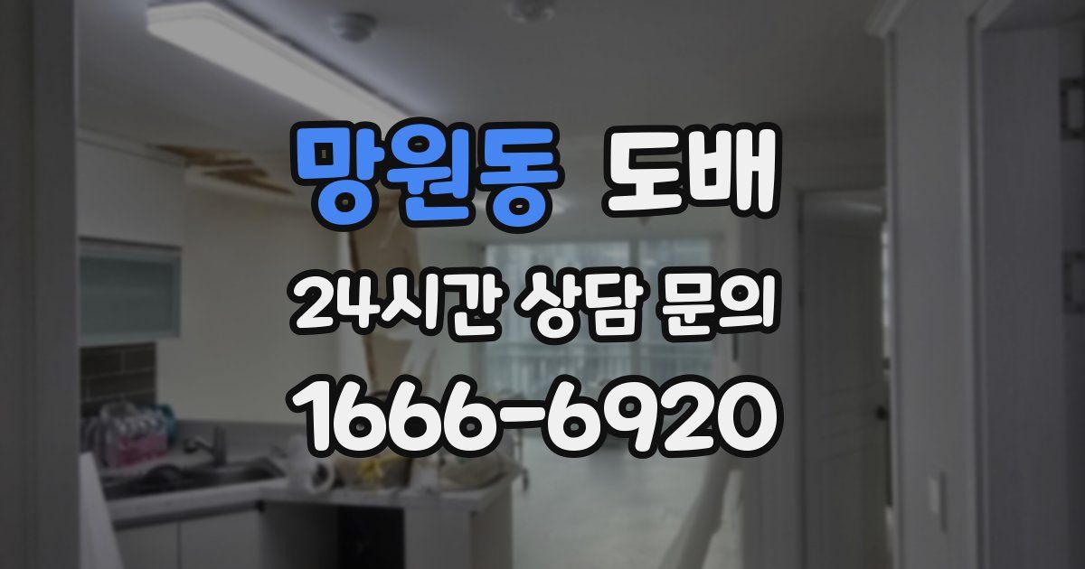 망원동 도배