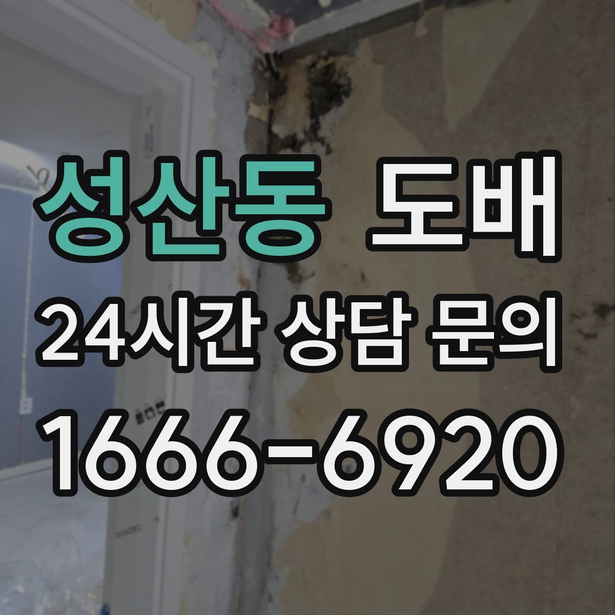 성산동 도배