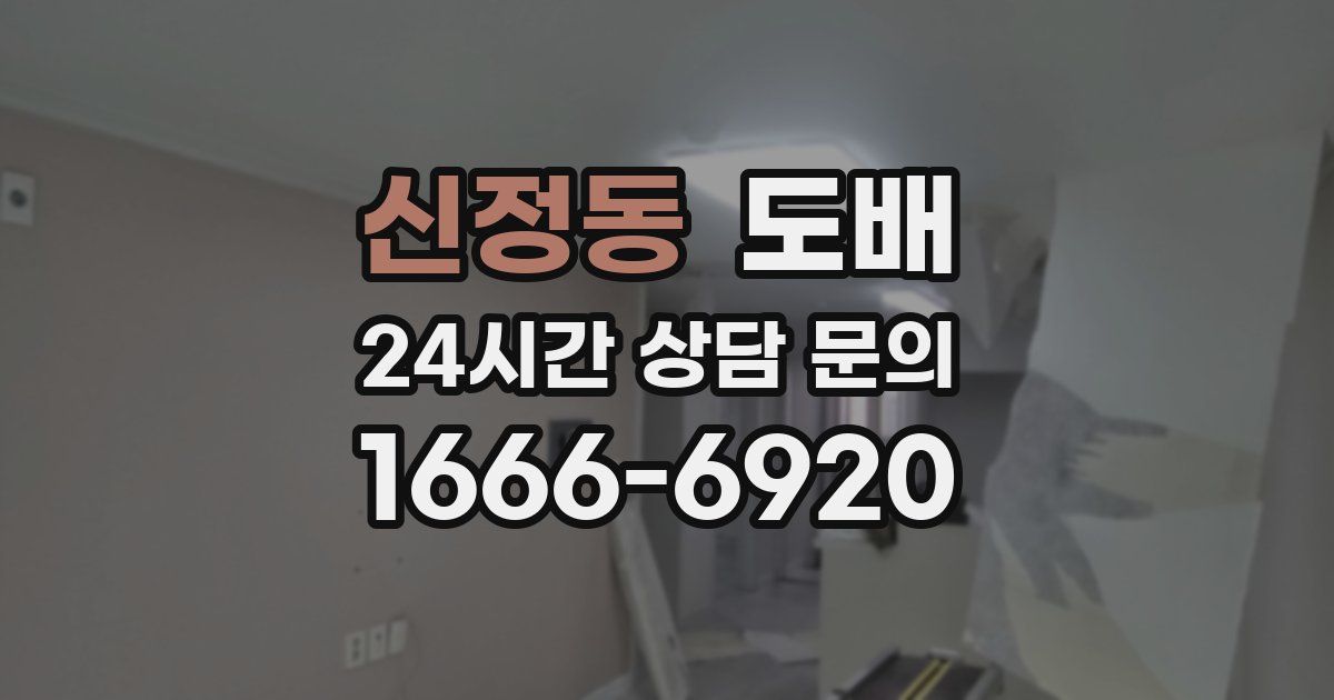 신정동 도배