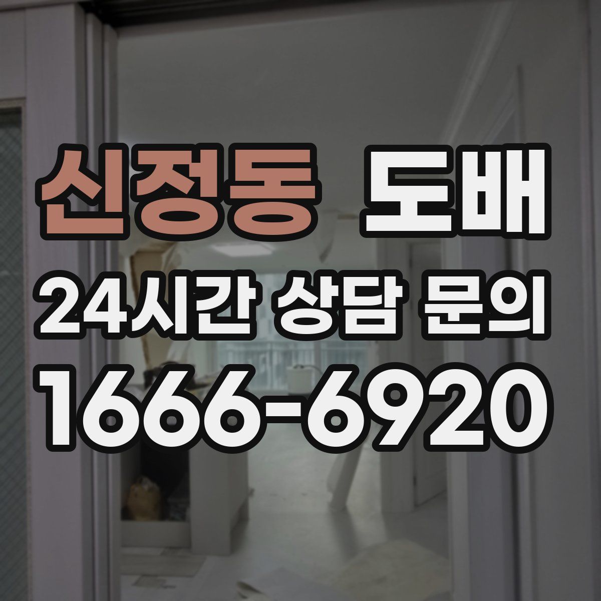 신정동 도배