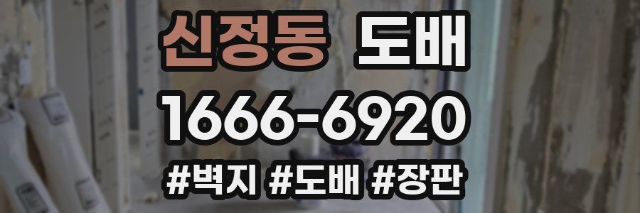 신정동 도배