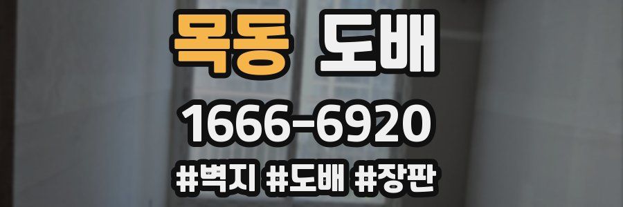 목동 도배