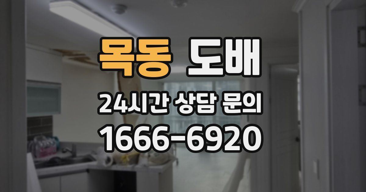 목동 도배
