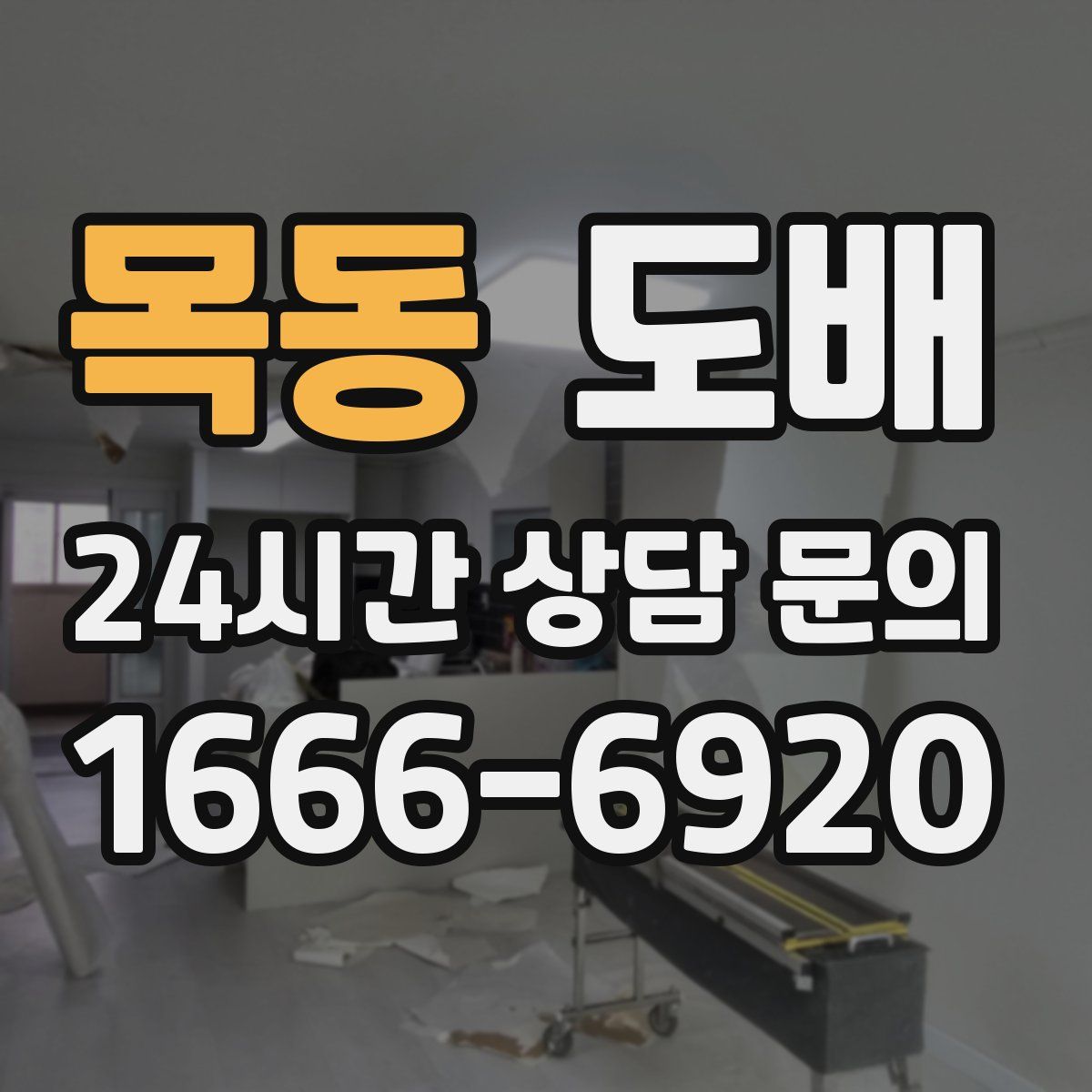 목동 도배