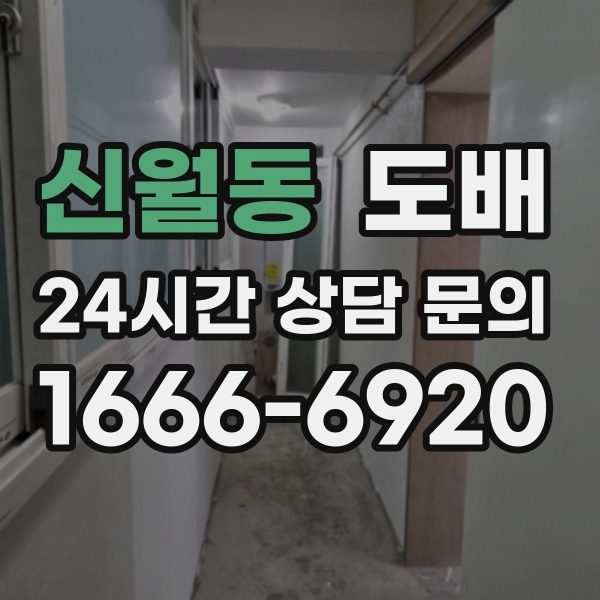 신월동 도배