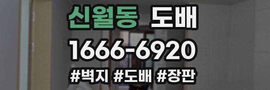 신월동 도배