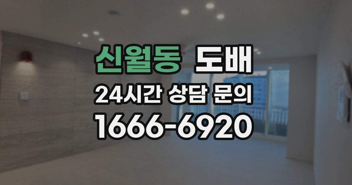 신월동 도배