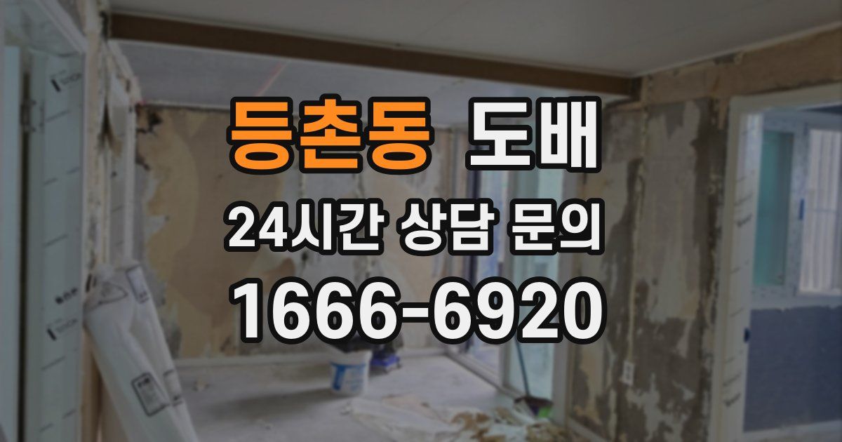 등촌동 도배