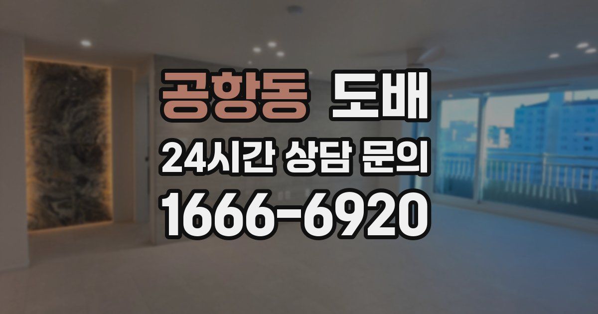 공항동 도배