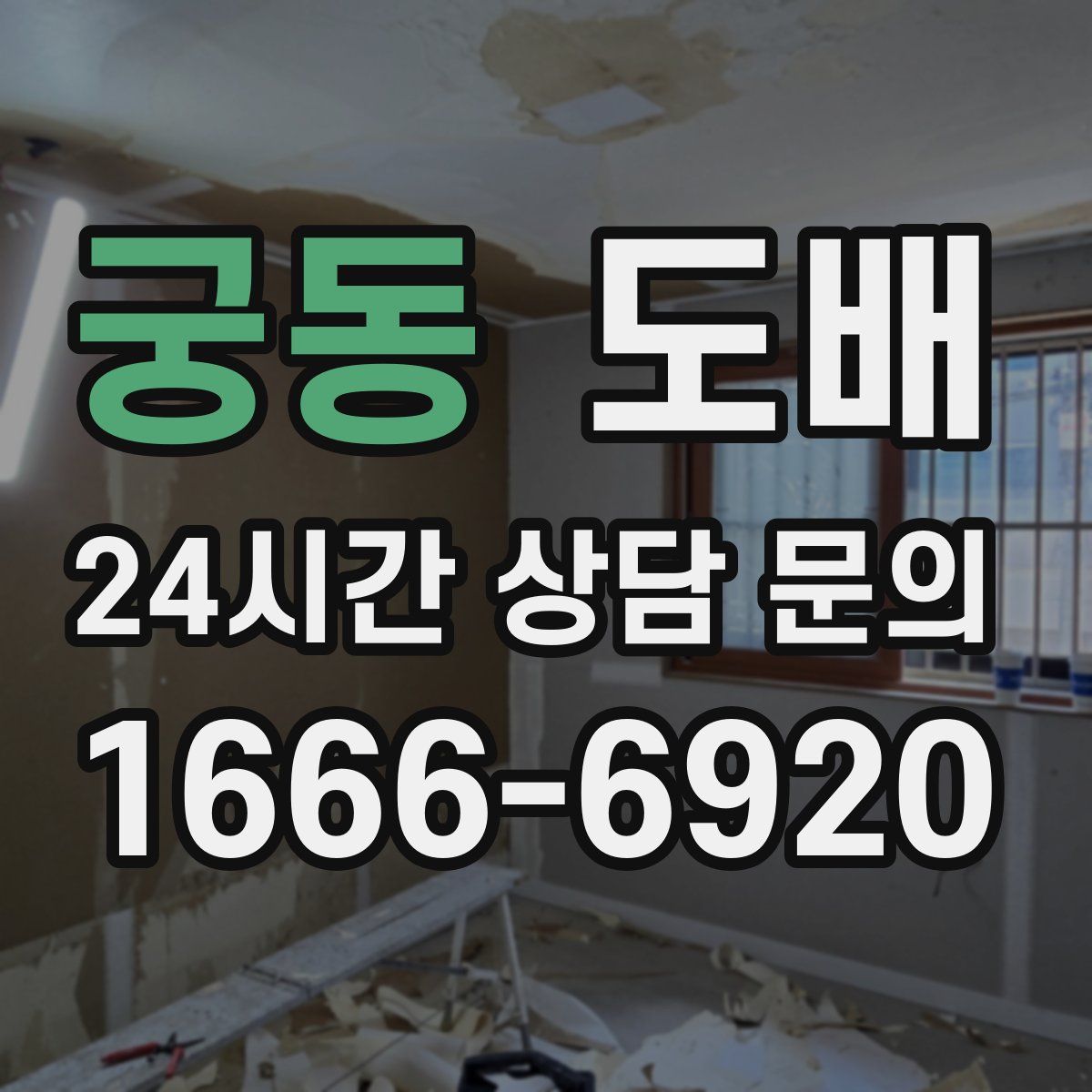 궁동 도배