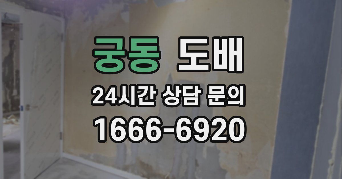 궁동 도배