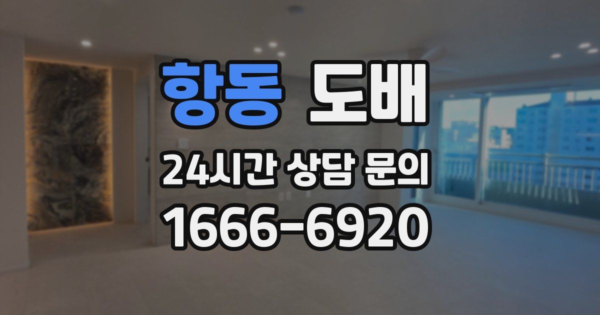 항동 도배