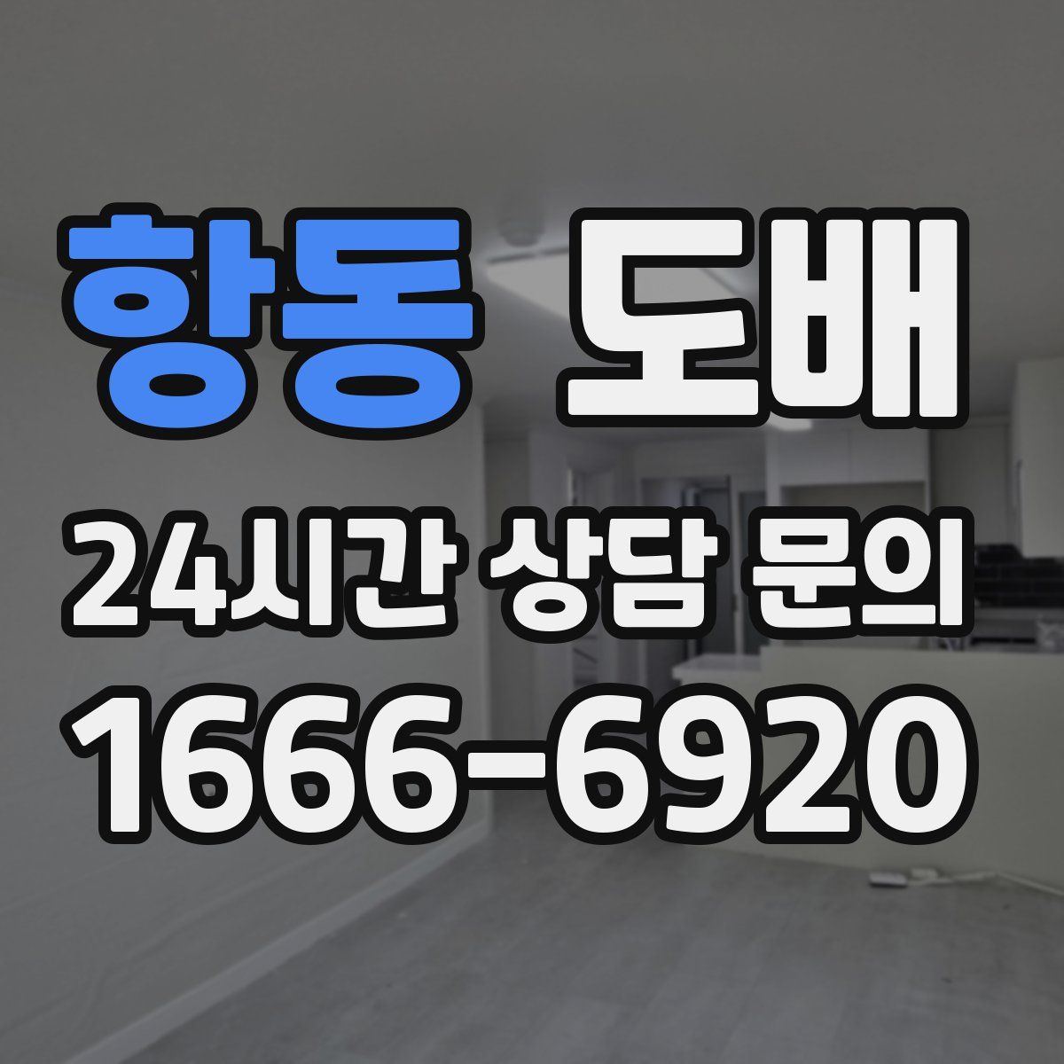 항동 도배