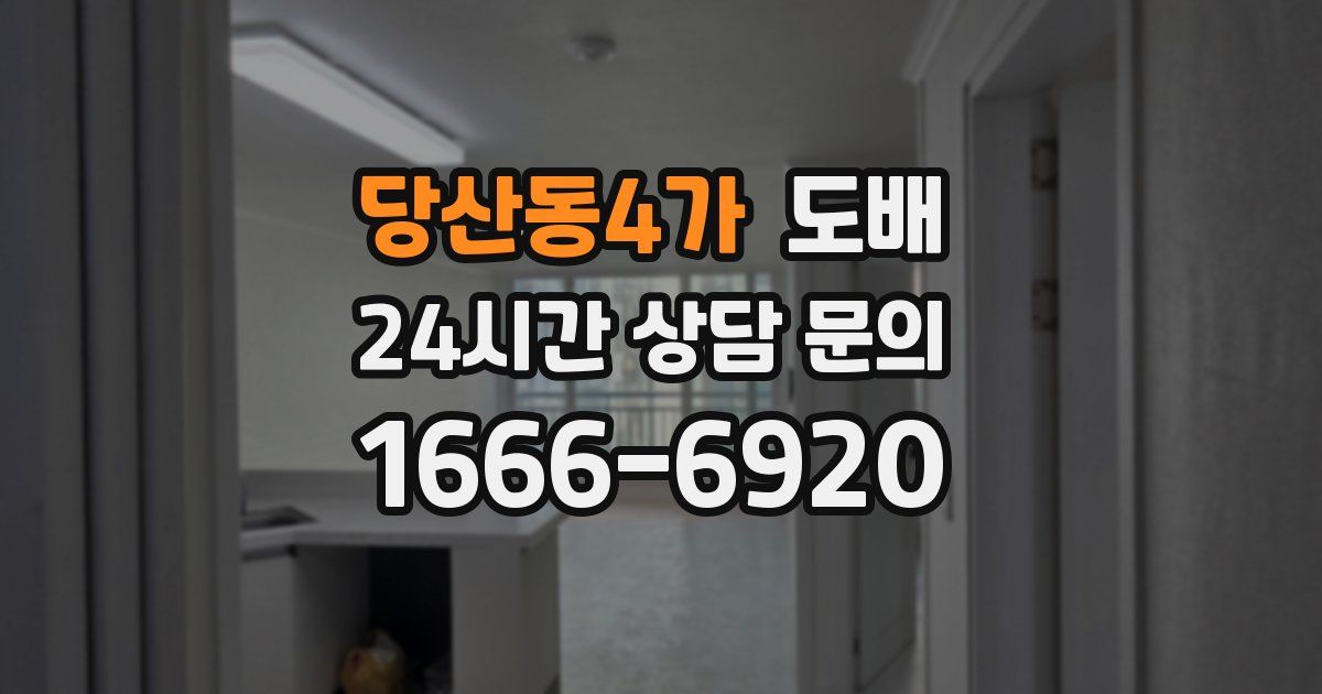 당산동4가 도배