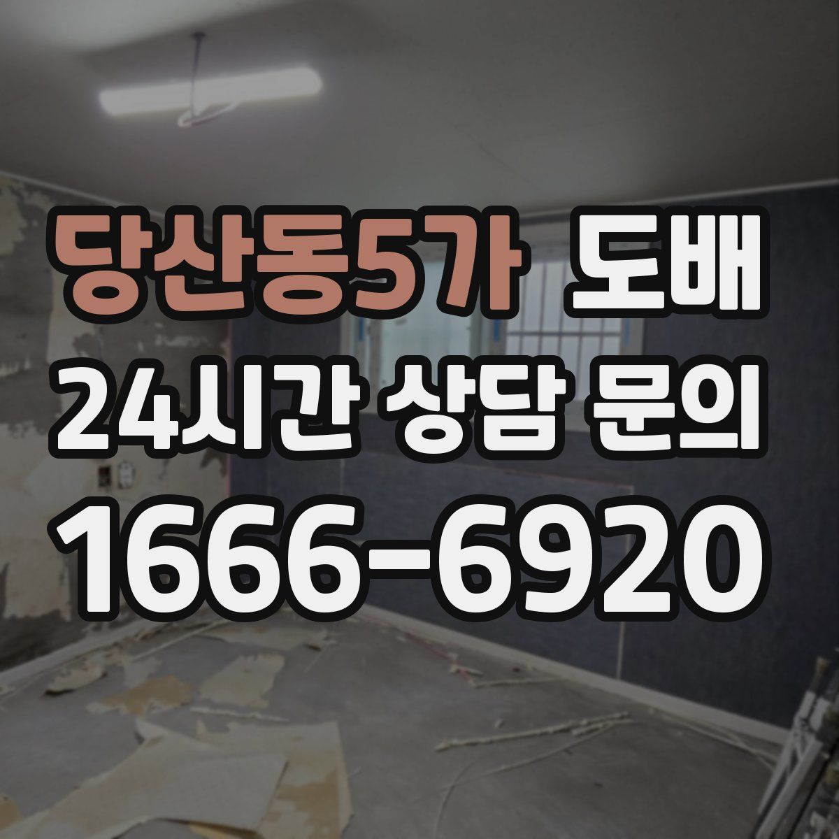 당산동5가 도배