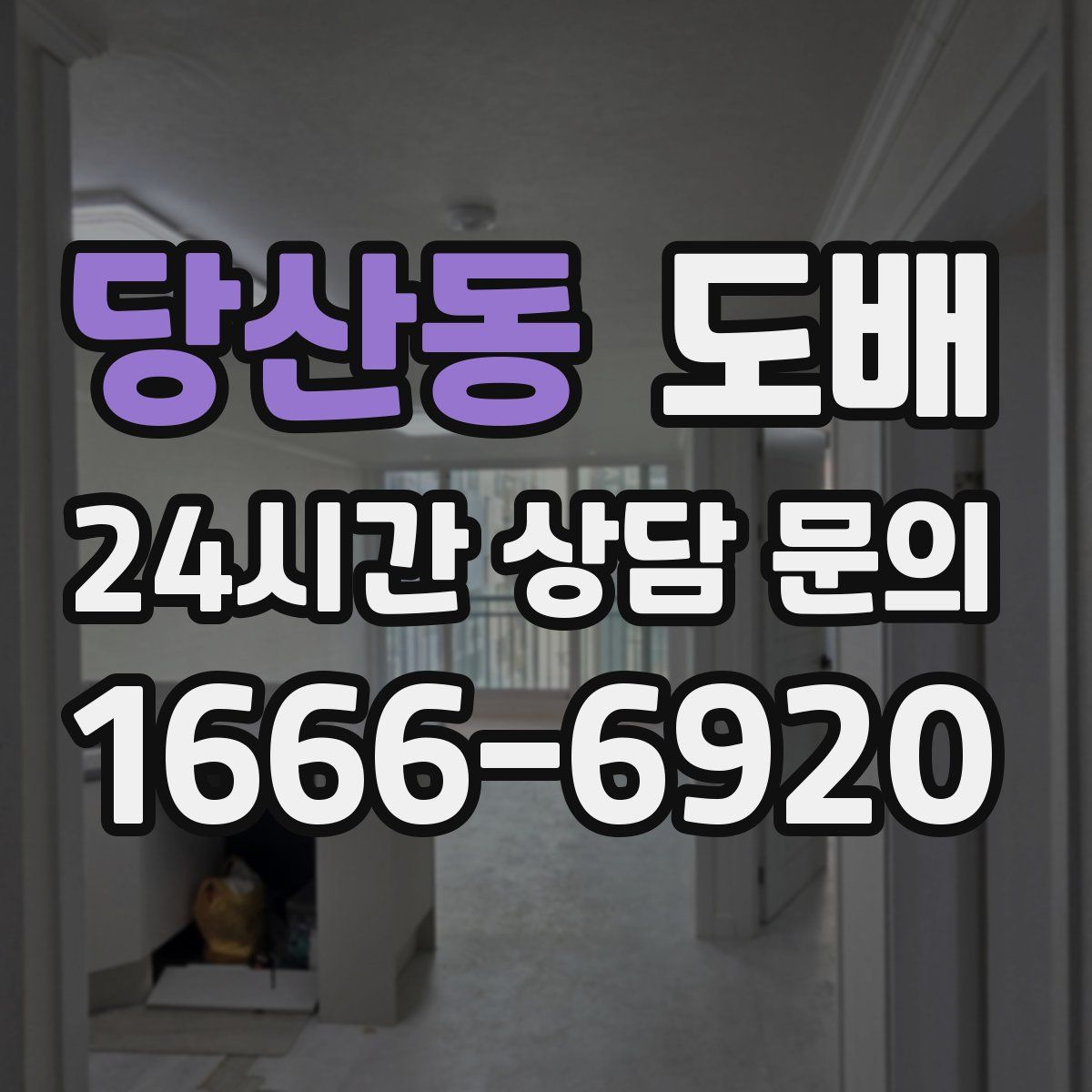당산동 도배