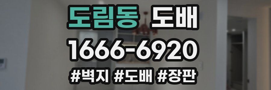 도림동 도배